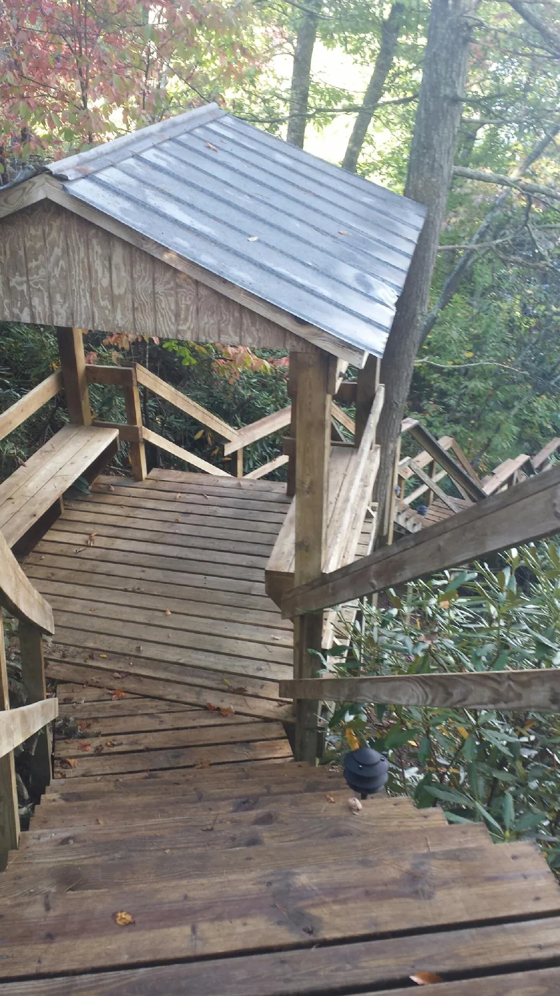 Metal roofed shelter over wooden steps on a wooded walkway — Skylight Repair & Installation work by our crew in Bradfordsville